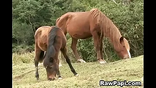 15626 anal porn videos